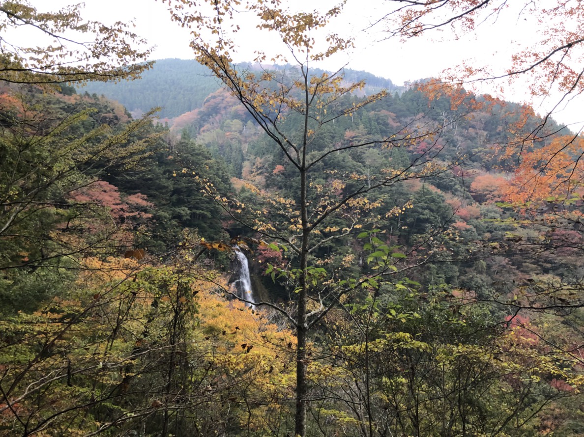熊本の探偵 栴檀轟の滝へ 探偵一筋35年 継続は信頼の証 西日本リサーチ