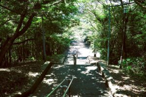 静かな森林の階段道。結婚前の人生の分岐点を象徴する風景